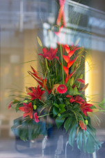 Blumengesteck im Schaufenster eines Friseurs in tollem Orange.