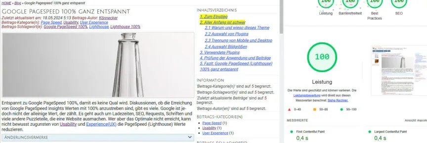 Screenshot: Google PageSpeed 100% ganz entspannt.
